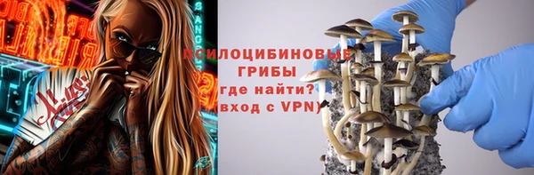 MESCALINE Гусь-Хрустальный