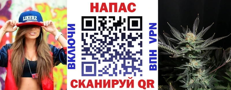 Купить закладки  Порхов  Канабис AK-47 